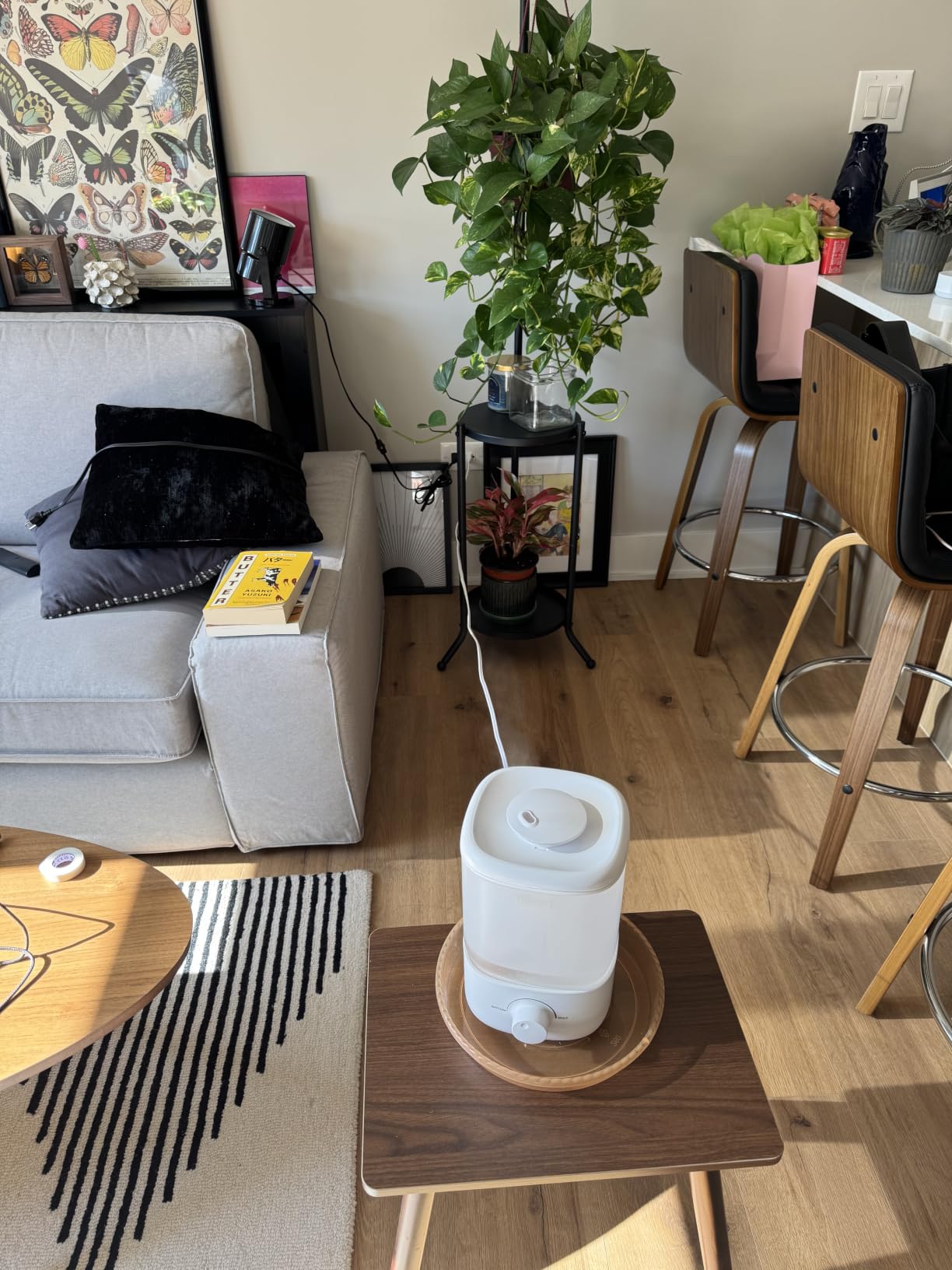 Levoit Top Fill Humidifiers for Bedroom, 2.5L Tank for Large Room, 25dB customer photo 1