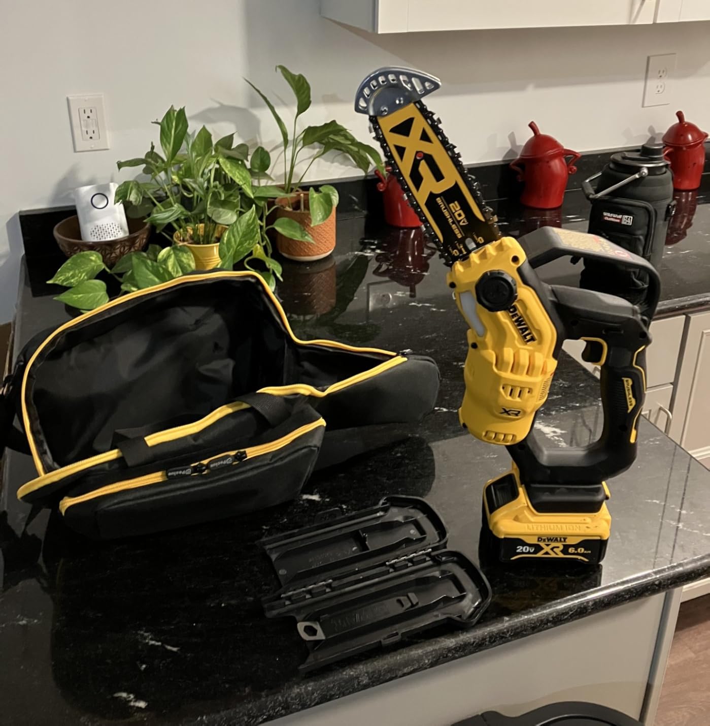 Dewalt Chainsaw Pruning CRDLS 20V 8IN DCCS623B customer photo 1