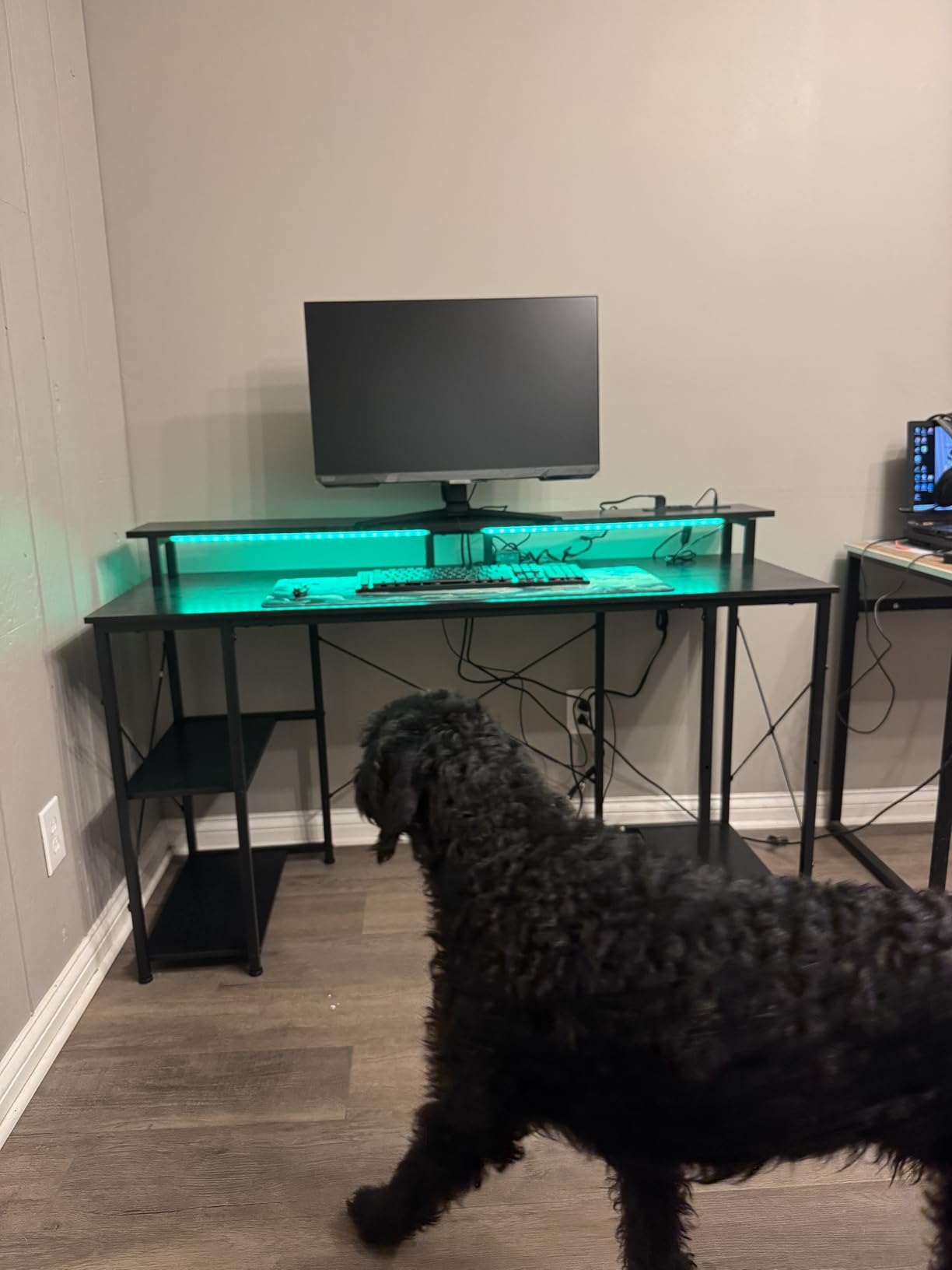 ODK 48 Inch Gaming Desk with LED Lights & Storage Shelves, Black | Customizable LED lighting, Raised monitor stand, Dedicated CPU stand, Organized gaming setup, Gaming & home office customer photo 1