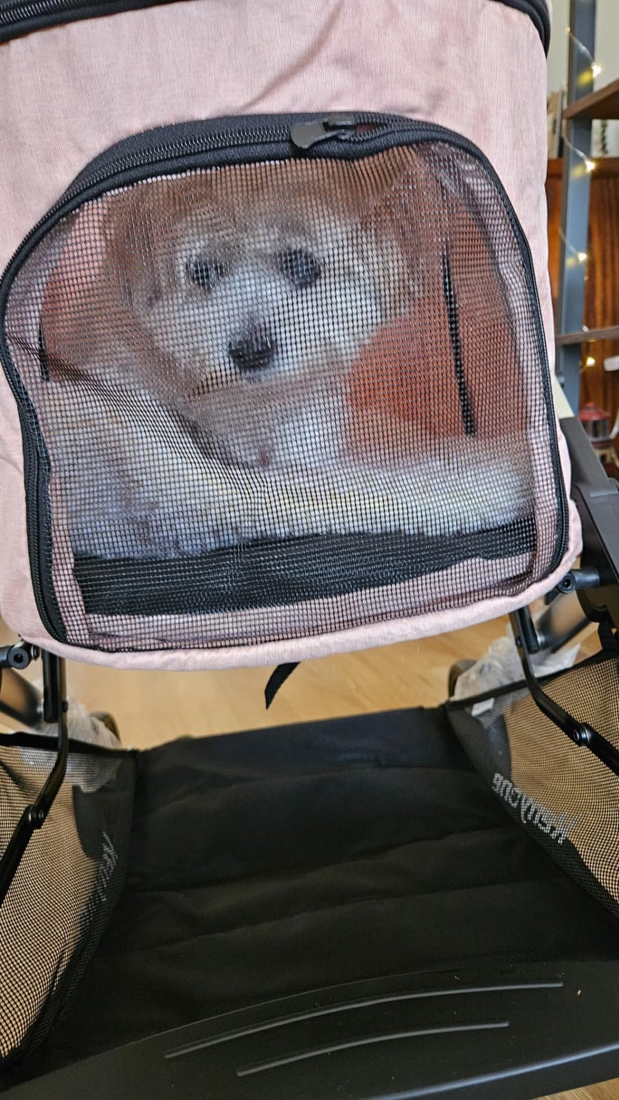 Medium Dog Stroller, Kenyone Pet Stroller for Medium Dogs Up to 55lbs, Lightweight Aluminum Frame, One Click Folding, Large Cat Stroller with No Zip Entry, Detachable Mesh, Multiple Pockets customer photo 2
