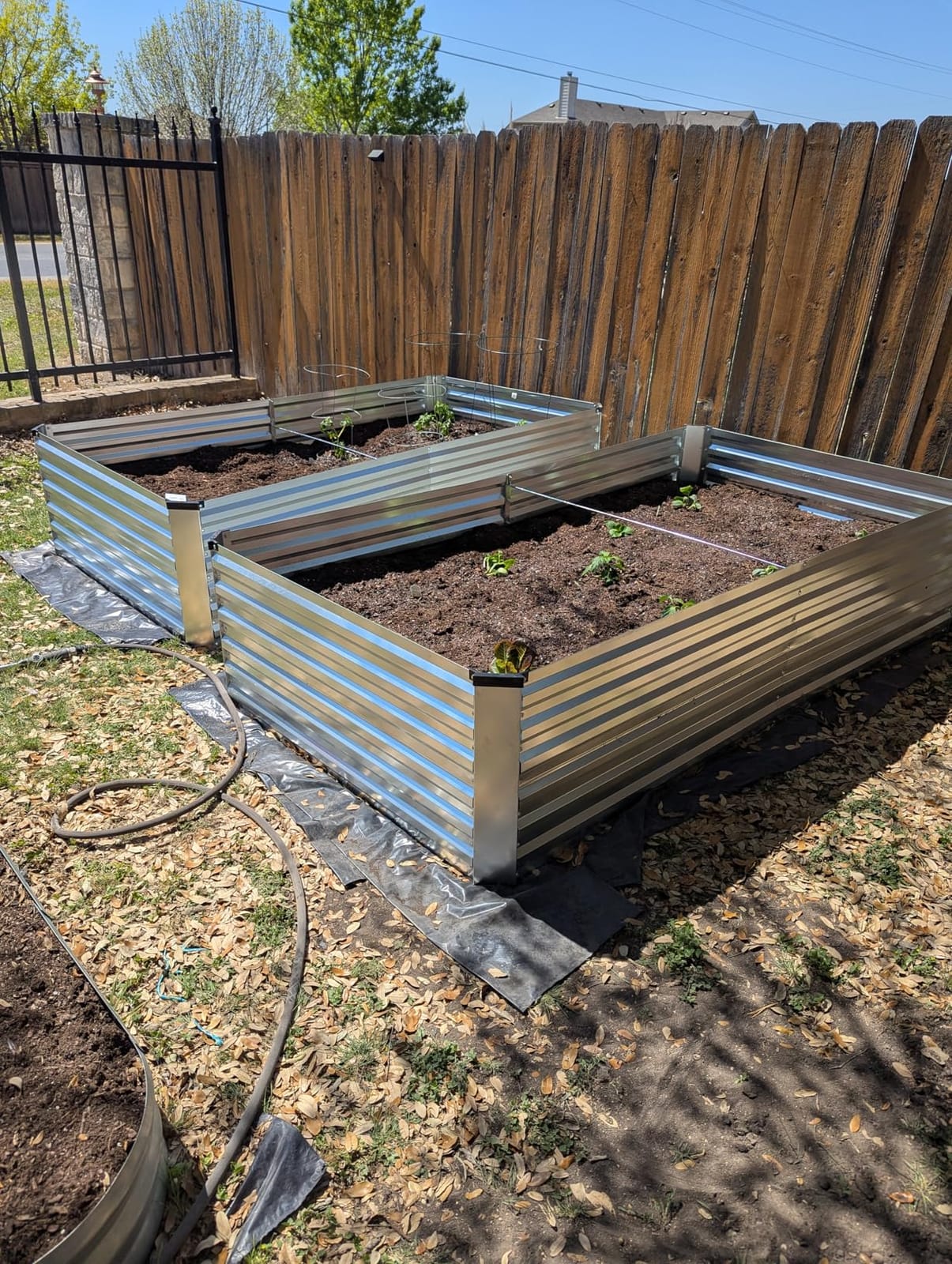 FOOWIN 8x4x2ft Raised Garden Bed Outdoor, Galvanized Steel Garden Beds | Raised Garden Beds for Gardening, Planters for Outdoor Plants,Vegetables,Flowers,Herb,478 Gallon Capacity,Silver,2-Pack customer photo 2
