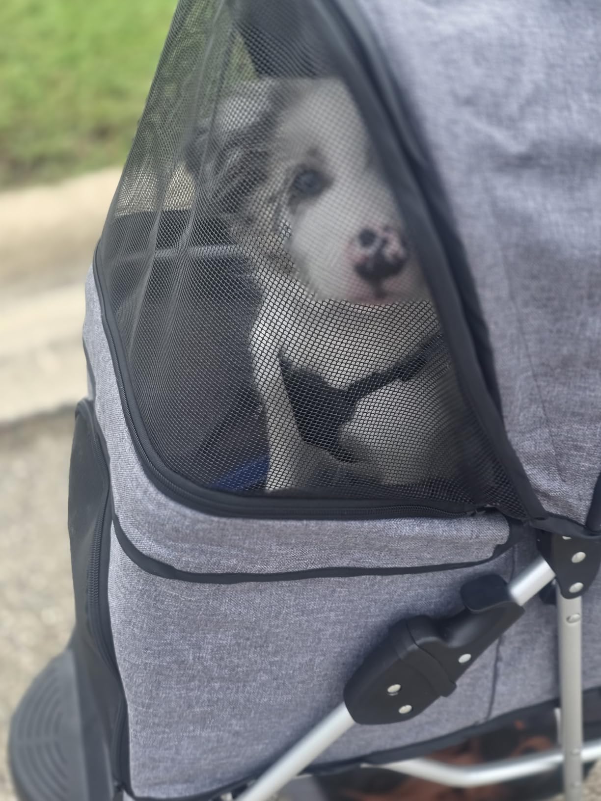 MoNiBloom Pet Stroller for Small/Medium Dogs and Cats up to 33 lbs, Black | Foldable Dog Stroller 3 Wheels Pet Strolling Cart w/ Storage Basket Cup Holder, Breathable and Visible Mesh for All-Season customer photo 1