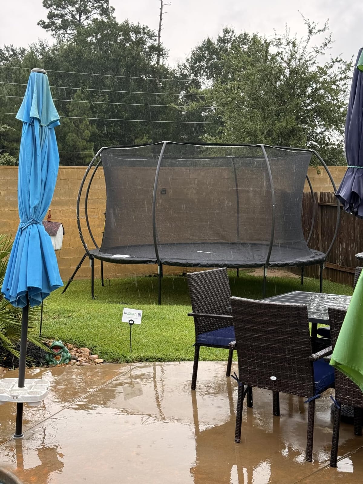 JoyBerri Outdoor Trampoline - with LED Lights, Net, Ladder, ASTM Certified | 8Ft 10Ft 12Ft 14Ft 15Ft 16Ft, 450lb capacity, kids & adults, anti-rust steel, net + ladder + stakes, 5-year protection customer photo 1