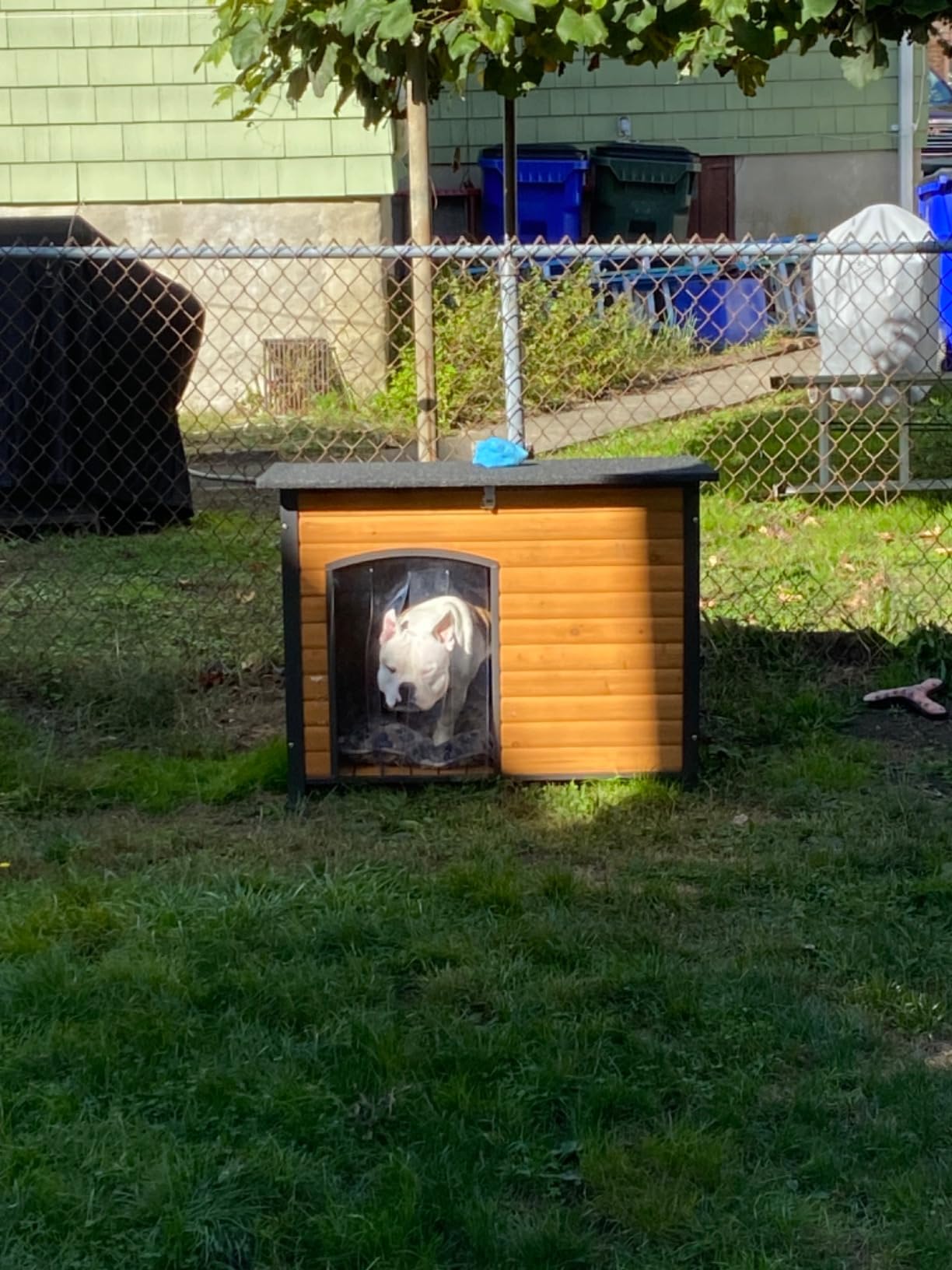 Aivituvin Heated Dog House Outdoor & Indoor Dog Kennel with Insulated Liner & Heating System for Winter Waterproof Large Dog Cage for Small & Medium & Large Dogs,Unique All-Around Iron Frame customer photo 1