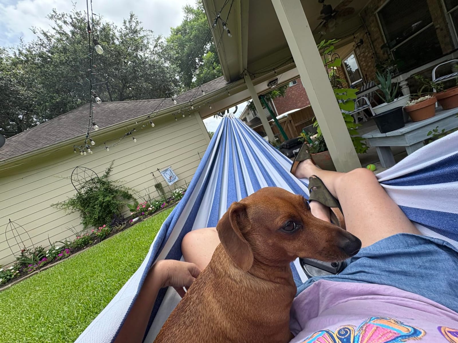 SUNCREAT Outdoor Double Hammock, Portable Tree Colorful Hammock, Colorful Stripes | Outdoor Double Hammock customer photo 1
