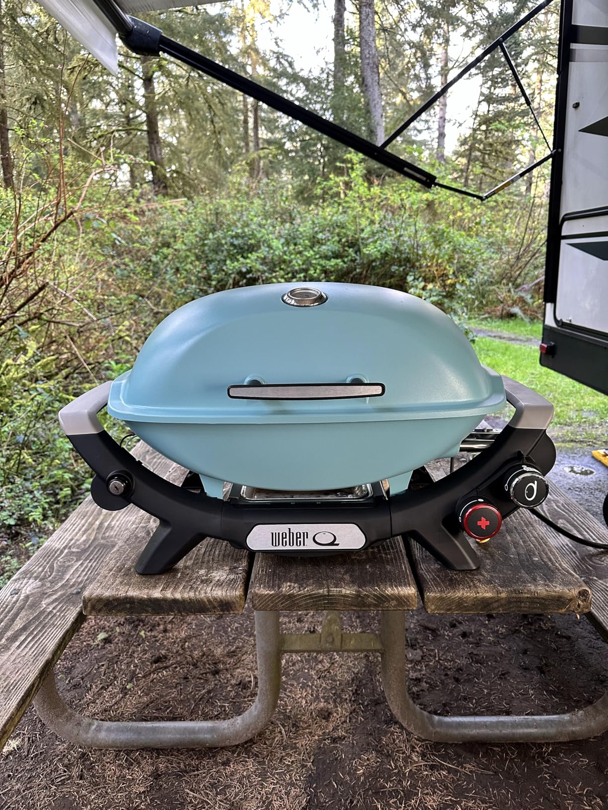 Weber Q 2800N+ Portable Grill, Propane Grill, Midnight Black | 250-700°F Temp Range with Plus Burner for Searing, Low-Temp Roasting, Camping Grill for Outdoor Cooking, Portable BBQ Grill customer photo 2