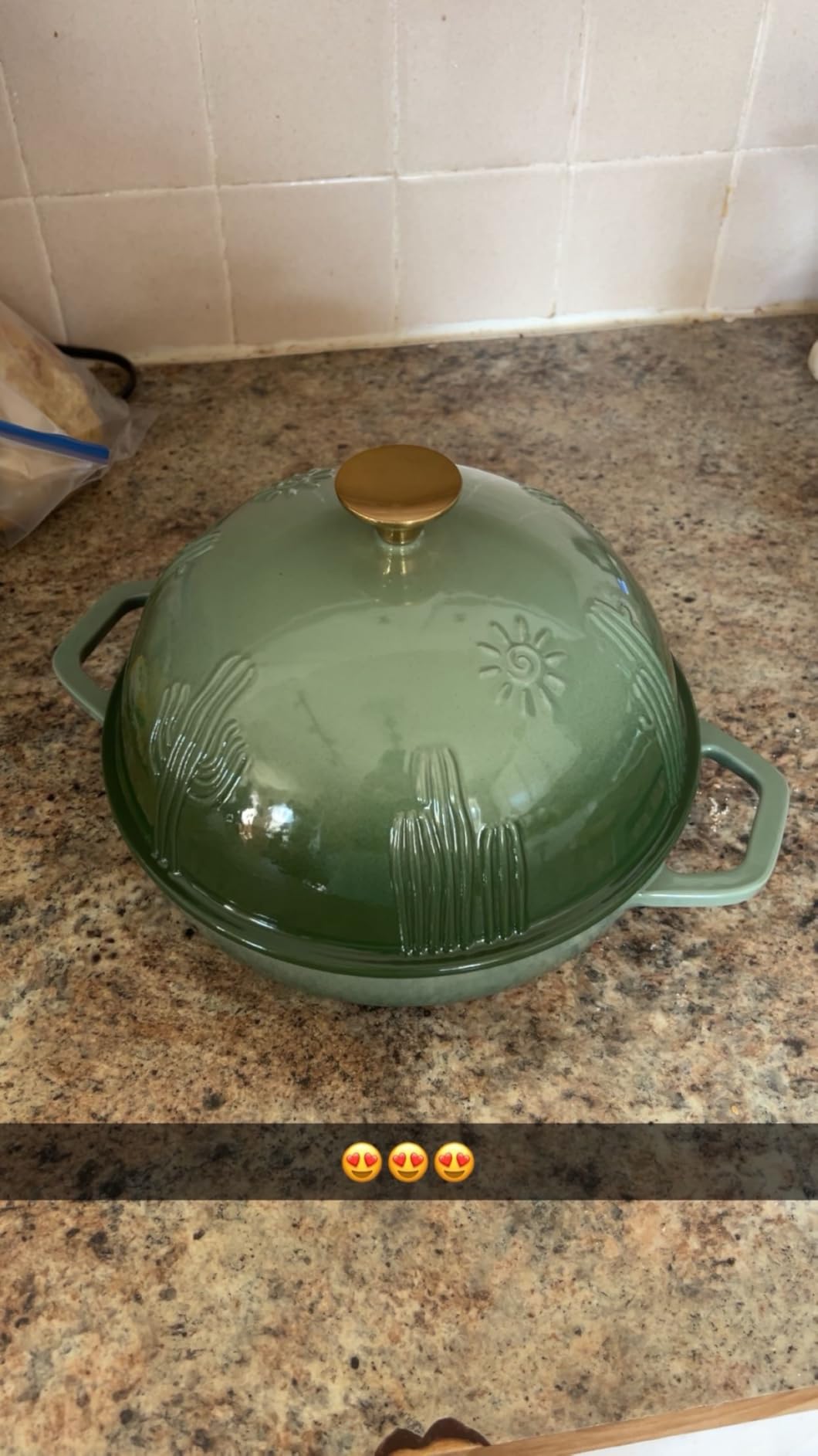 Flavehc Bread Oven Cast Iron Bread Dutch Oven with Cloche Lid for Bread Baking Darkcyan Enameled Cast Iron Bread Oven with Dome Lid for Sourdough, 9.8 Inches customer photo 2