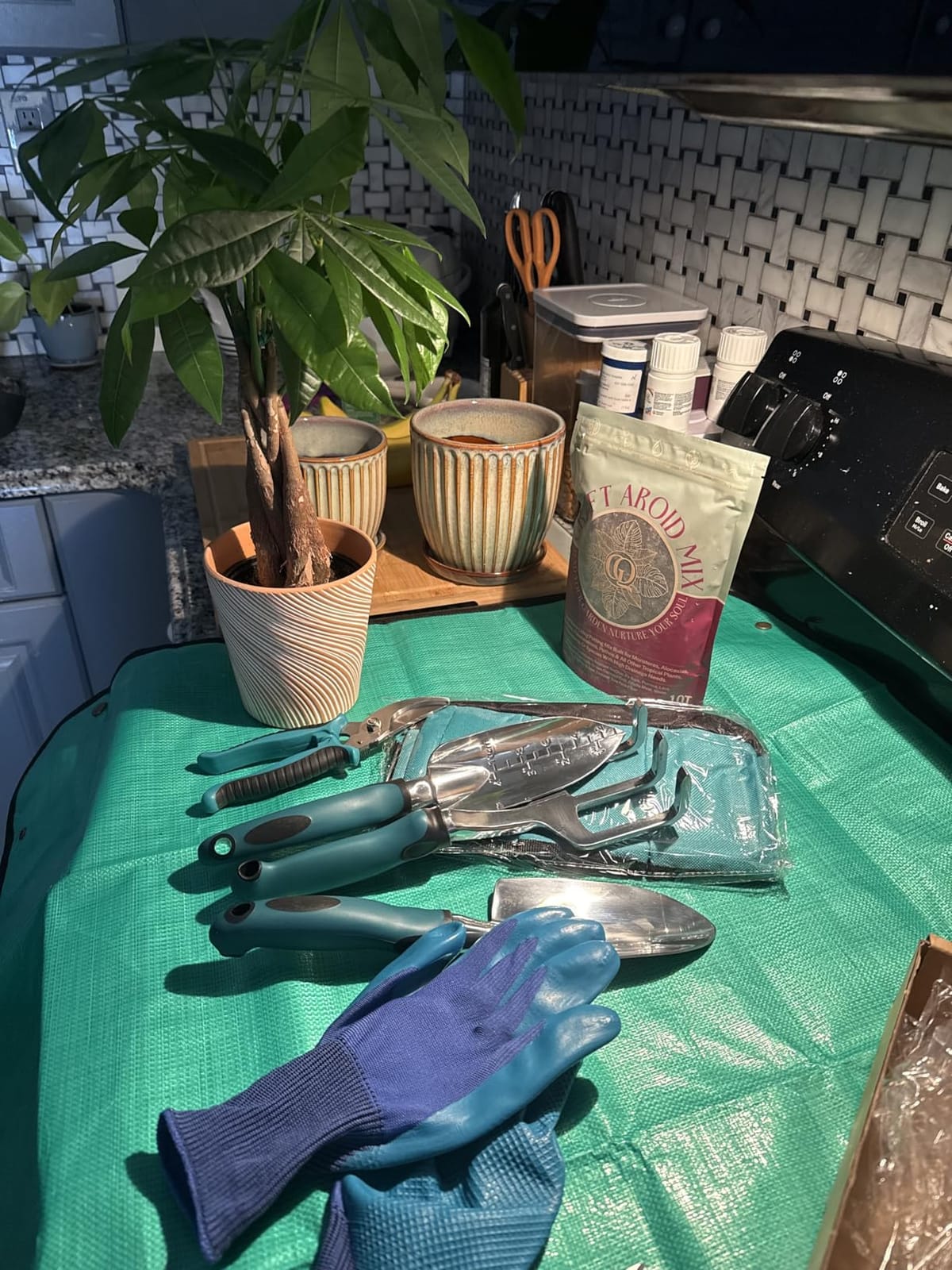 Kynup Garden Tool Set, Heavy Duty Aluminum Gardening Tools with Storage Bag | Rust Resistant Garden Essential Kit with Trowel, Shovel & Repotting Mat, Ideal Gardening Gift for Women for Outdoor Planting customer photo 2