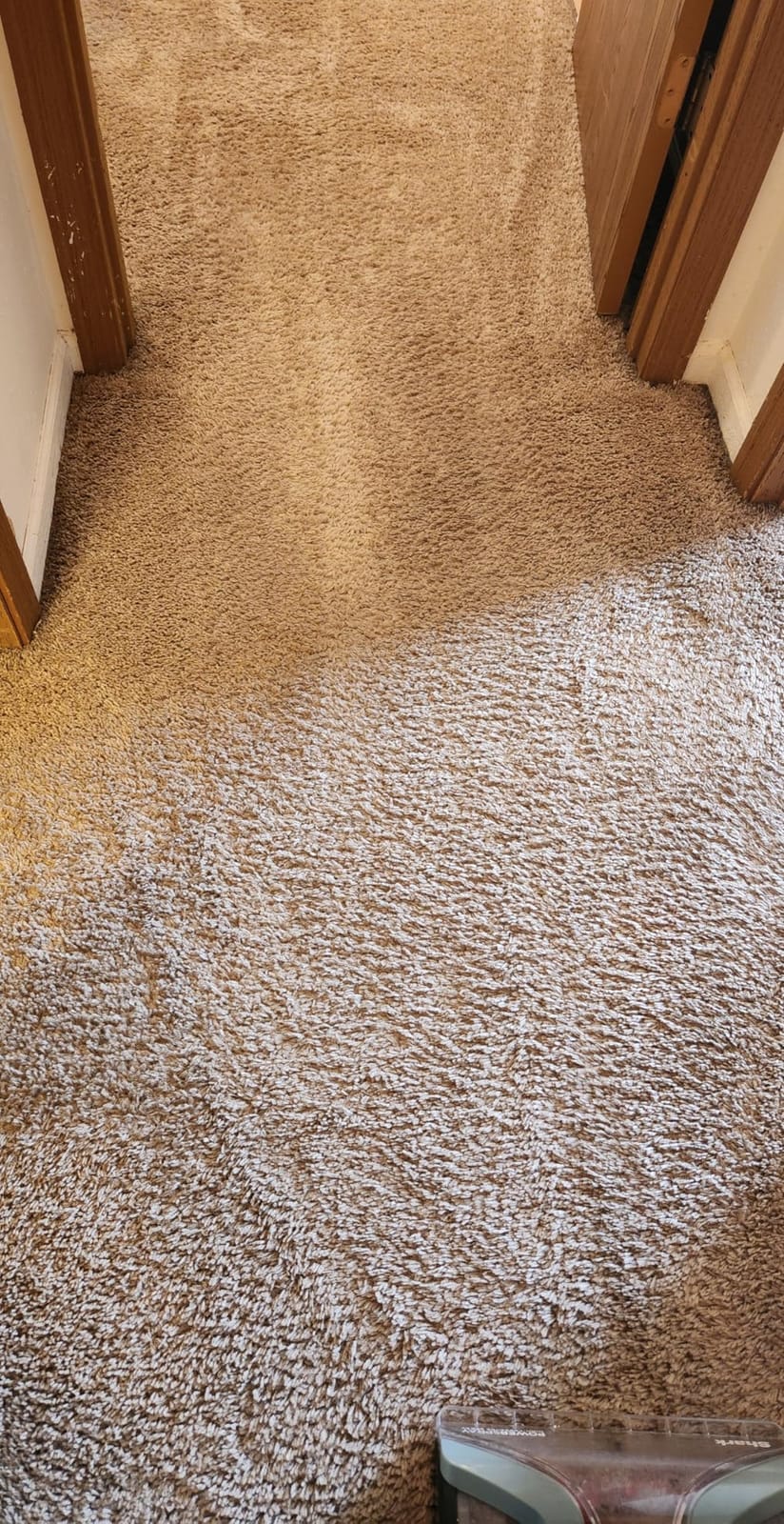 Shark CarpetXpert Upright Carpet & Built-in Stain Cleaner, 3 Tools, EX151 | For Carpet, Upholstery & Rugs, Dirt, Grime & Odor Remover, Deep Clean Essential Formula customer photo 2