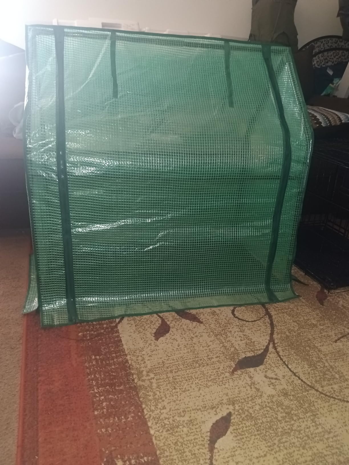 U'Artlines Portable Mini Greenhouse Small Green House 36x18x33 Inch | Plant Cover Tent with Waterproof Pad, Thick Zipper, Steel Frame, for Small Plants Indoor Outdoor Garden Accessory, Green PE customer photo 1