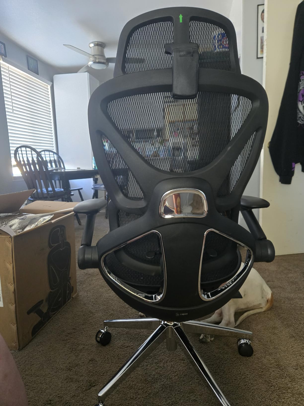 CAPOT Ergonomic Mesh Office Chair, Adjustable Lumbar High Back Desk Chair 400lbs, 4D Flip-up Arms, 3-Level Tilt Backrest, 3D Headrest, PU Wheels, Swivel Rolling Computer Seating for Long Desk Work customer photo 1