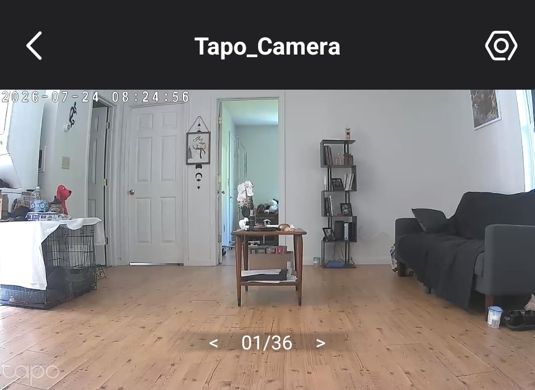 Tapo 1080p Pan/Tilt Security Camera for Baby Monitor, Pet Camera, C201 | Motion Detection, 2-Way Audio, Night Vision, Cloud & SD Card Storage, Works with Alexa & Google Home, Black customer photo 1