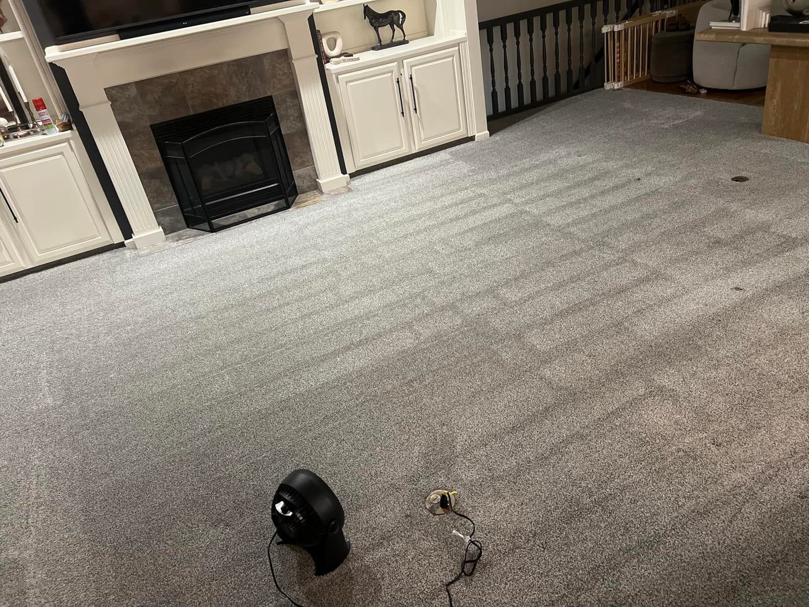 BISSELL TurboClean PET, Upright Carpet & Upholstery Cleaner, 3948 | TurboClean technology for powerful pet hair and stain removal; upright design for full-room carpet care customer photo 1