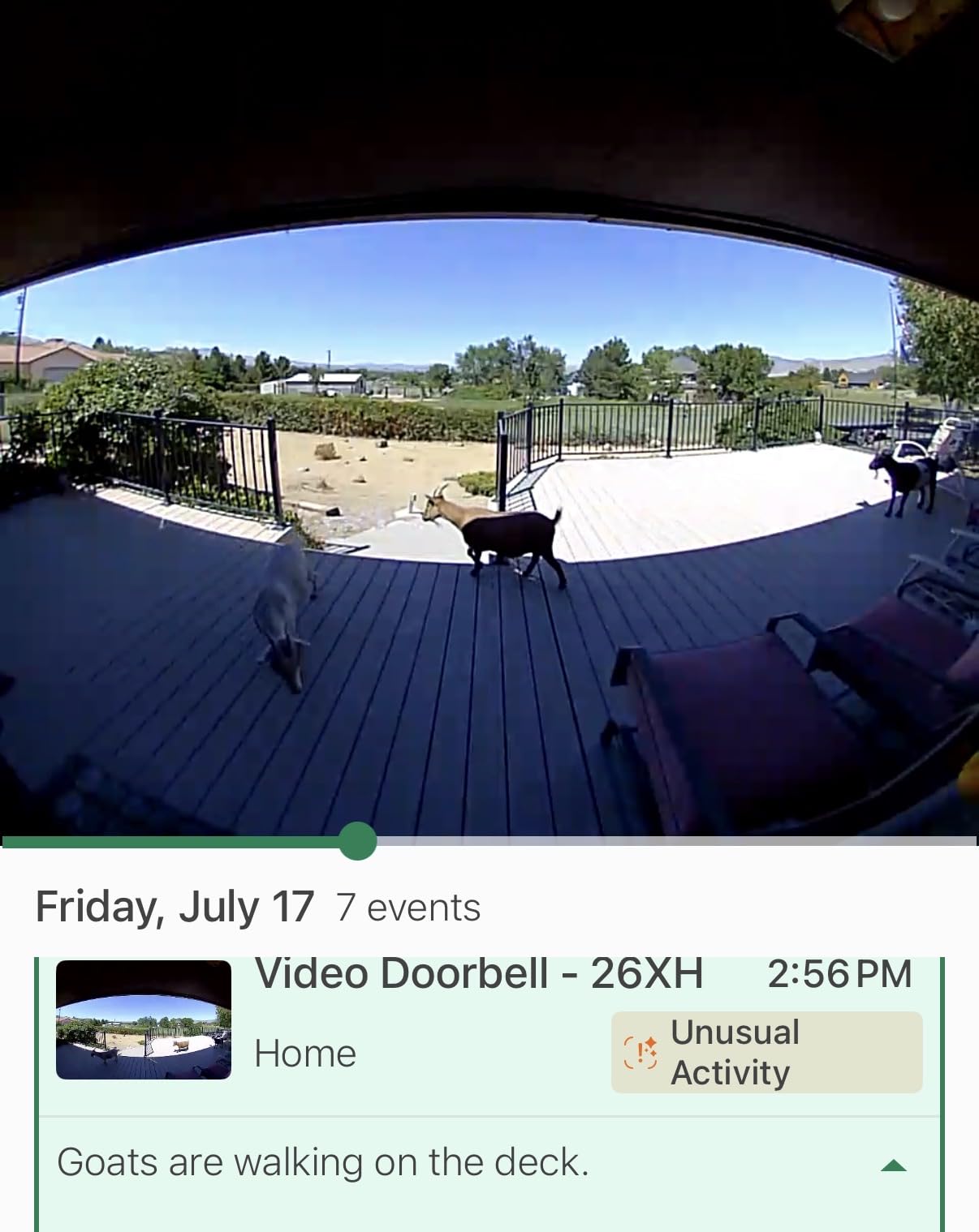 Blink Video Doorbell - Head-to-toe HD view, two-year battery life, and simple setup. Sync Module Core included - System (Black) customer photo 2