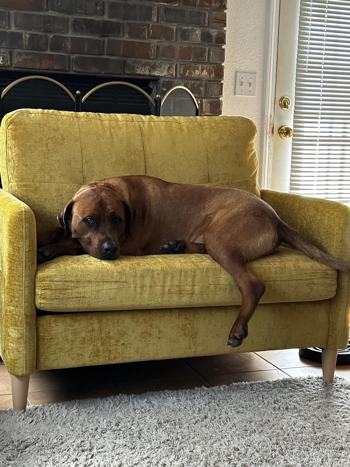 Hanherry Loveseat Sofa, 47