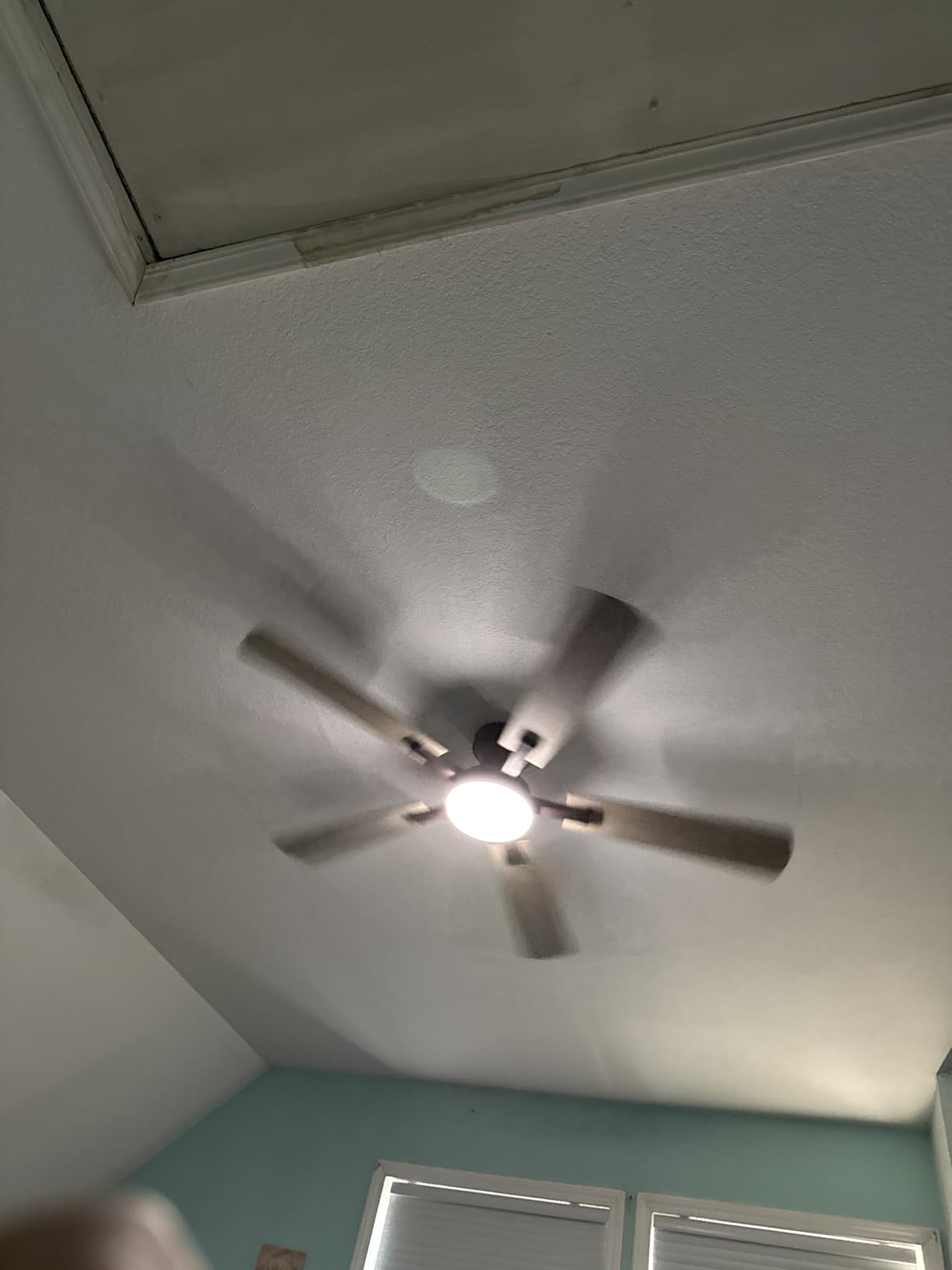 ZMISHIBO 52 Inch Ceiling Fans with Lights, Remote&App Control, Flush Mount | Low Profile, Dimmable 20W LED Light, Quiet Reversible Motor, Strong Airflow, Easy Install for Bedroom/Living Room/Apt, Black customer photo 1