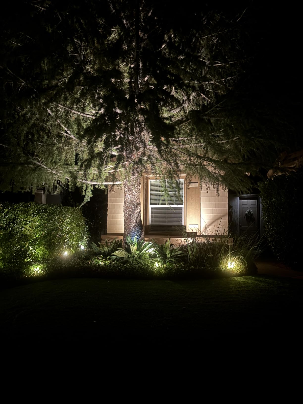 SUNVIE All-in-One LED Low Voltage Landscape Lighting Kit Dusk to Dawn 12PCS | 3000K Landscape Lights with Transformer Connectors 100FT Wire, Waterproof Low Voltage Landscape Lights for Garden Yard House customer photo 1