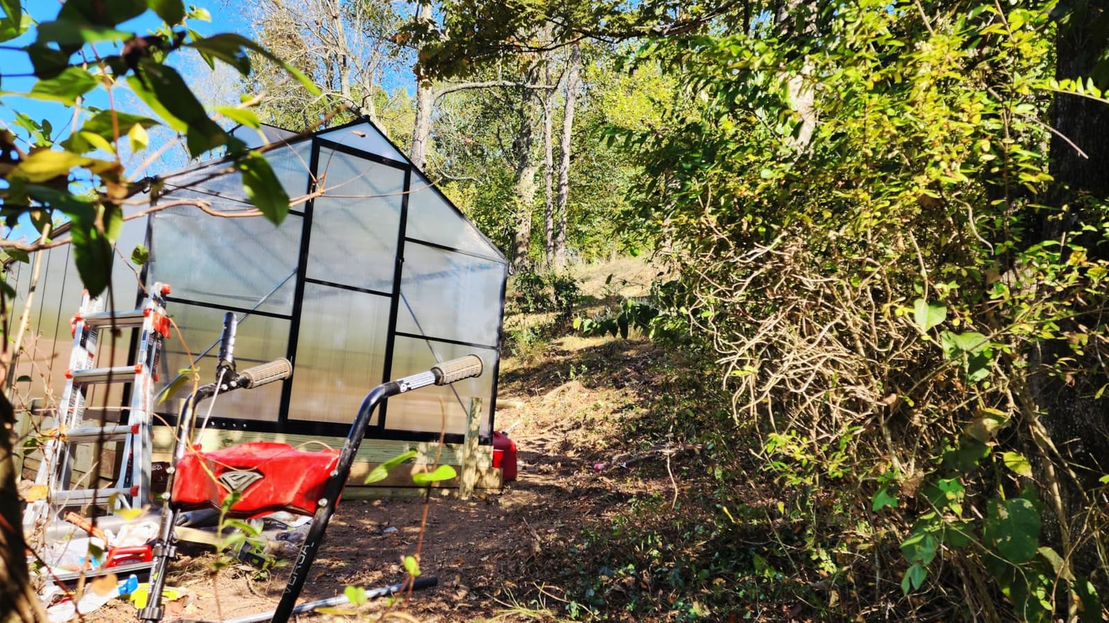 6x4FT Greenhouse with Hygrometer, Windproof Warm Plant Green Houses | Heavy Duty Aluminum Frame Polycarbonate Greenhouses with Vent Window for Backyard Garden Vegetables Flowers Herbs Growing customer photo 1