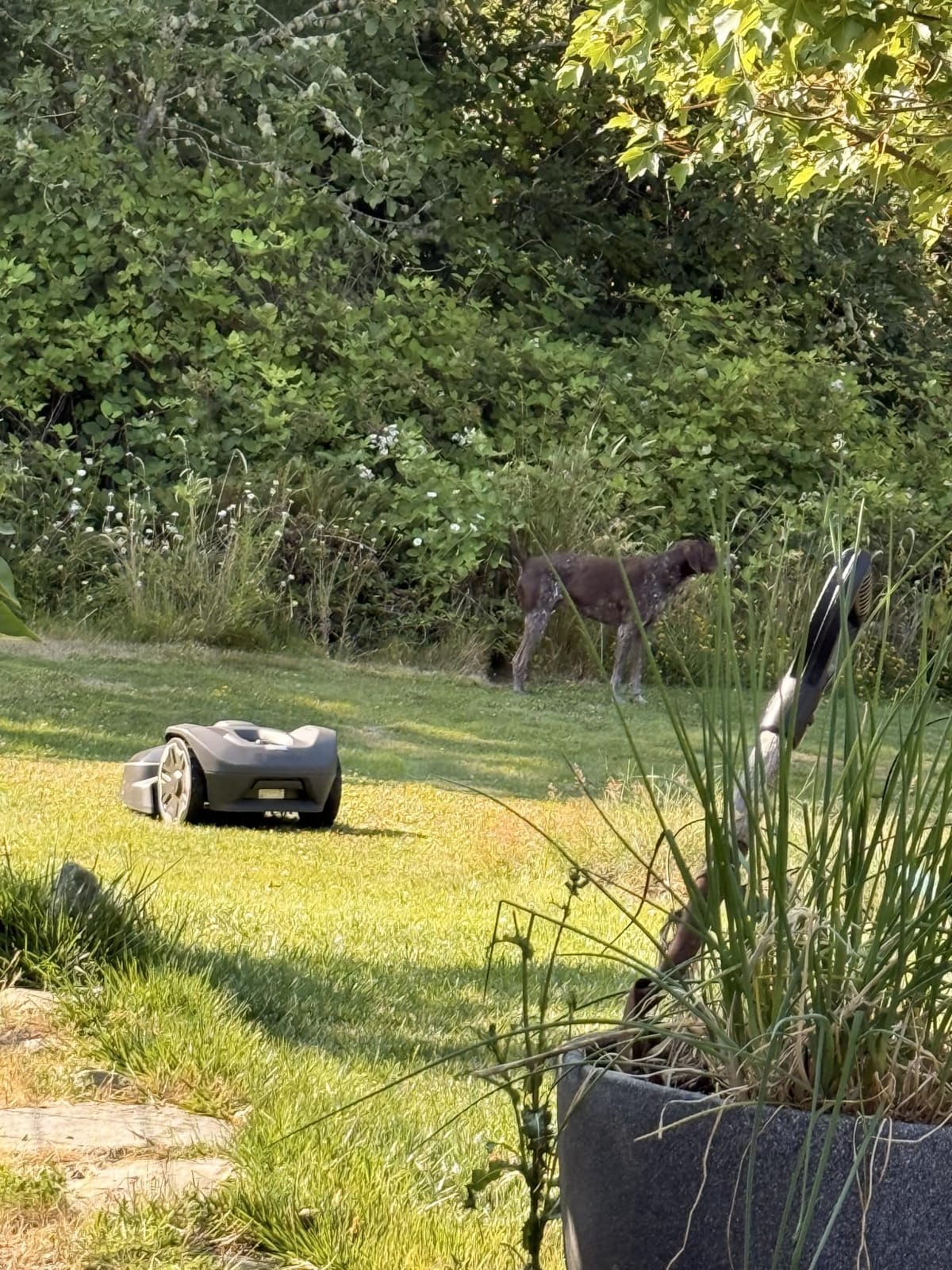 Husqvarna 410iQ ½ Acre Wire-Free, 45% Slope, app Based, Robot Lawn Mower customer photo 1