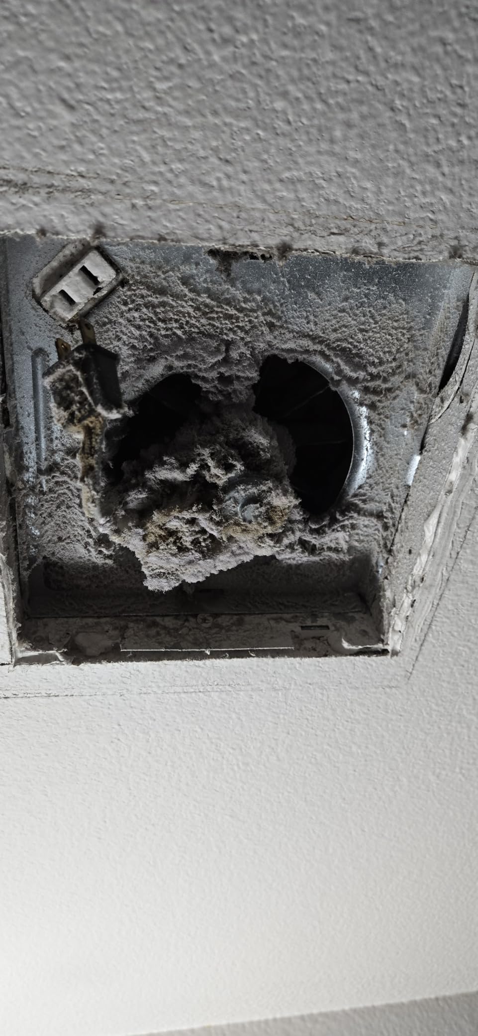 Broan-NuTone Bathroom Exhaust Fan, 50 CFM Modern Grille, Energy Star Fan, 2.0 Sones customer photo 2