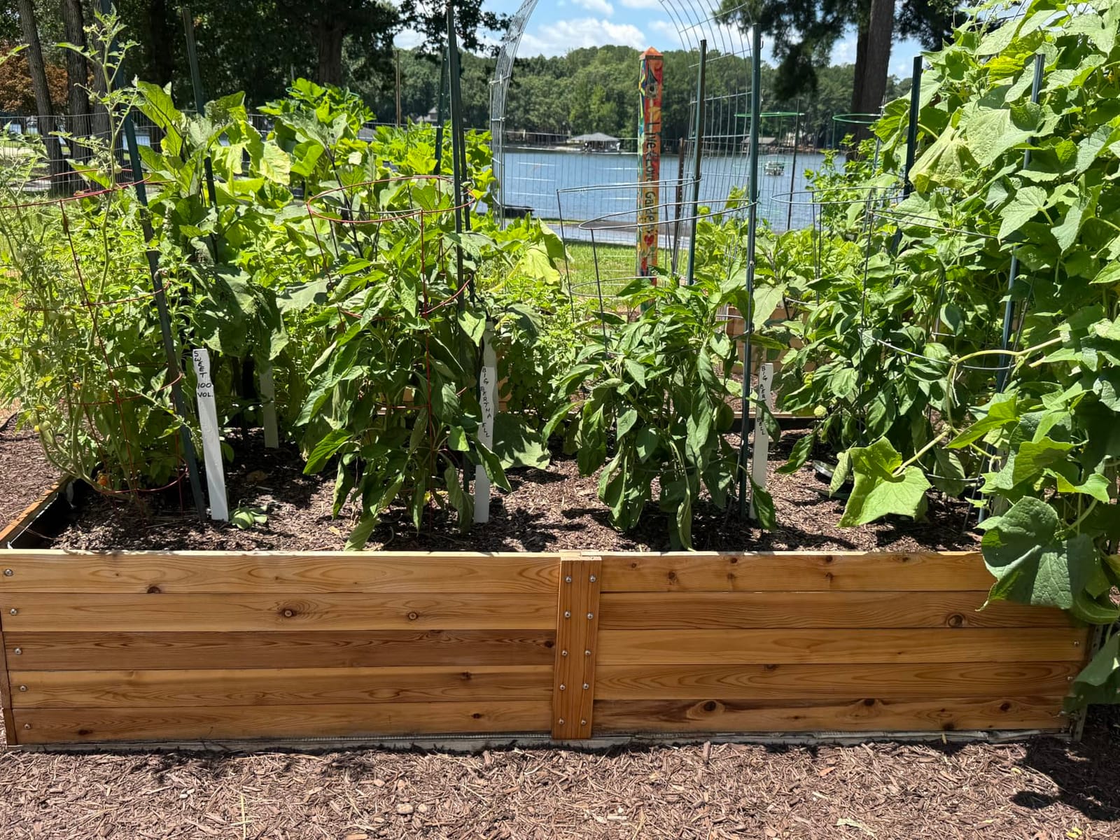 Infinite Cedar Select Cedar Raised Garden Bed (2' x 8' x 14