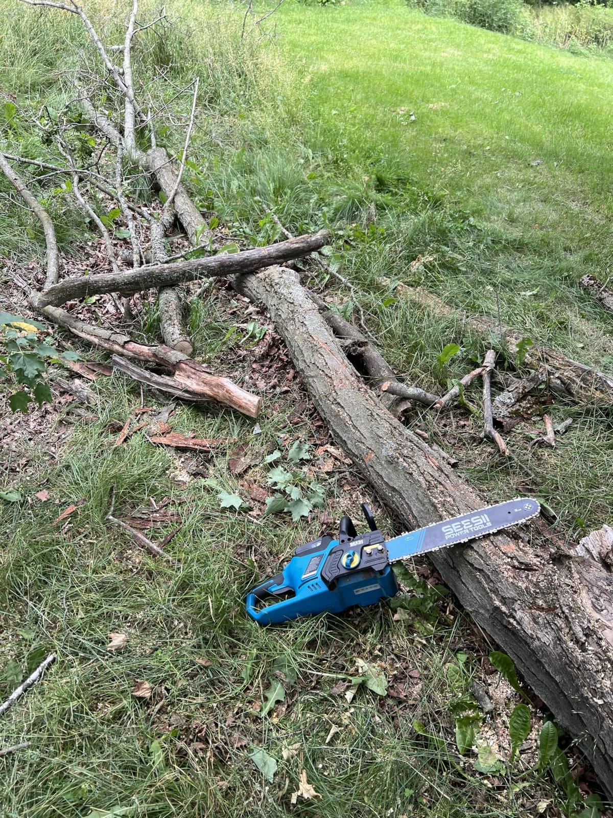 SEESII 40V 16-Inch Cordless Electric Chainsaw,2000W Brushless Chain Saw | 2×40v 4000mAh Batteries & Chargers, Auto Oiler, Battery Powered Chain Saw for Tree Trimming, Wood Cutting, Yard Work customer photo 1