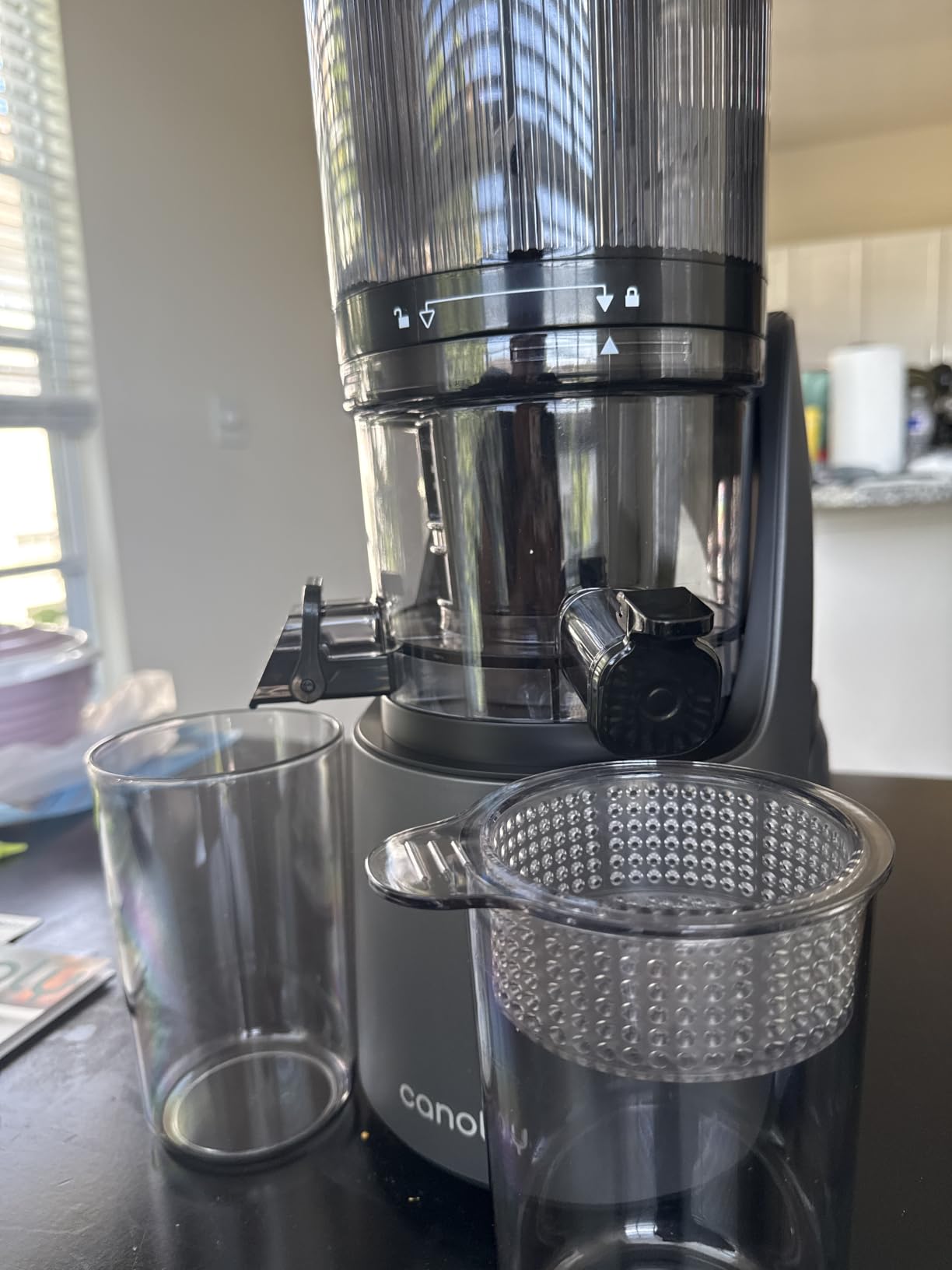 Canoly 3-in-1 Cold Press Juicer C16, Makes Juice & Sorbet & Nut Milk | 6