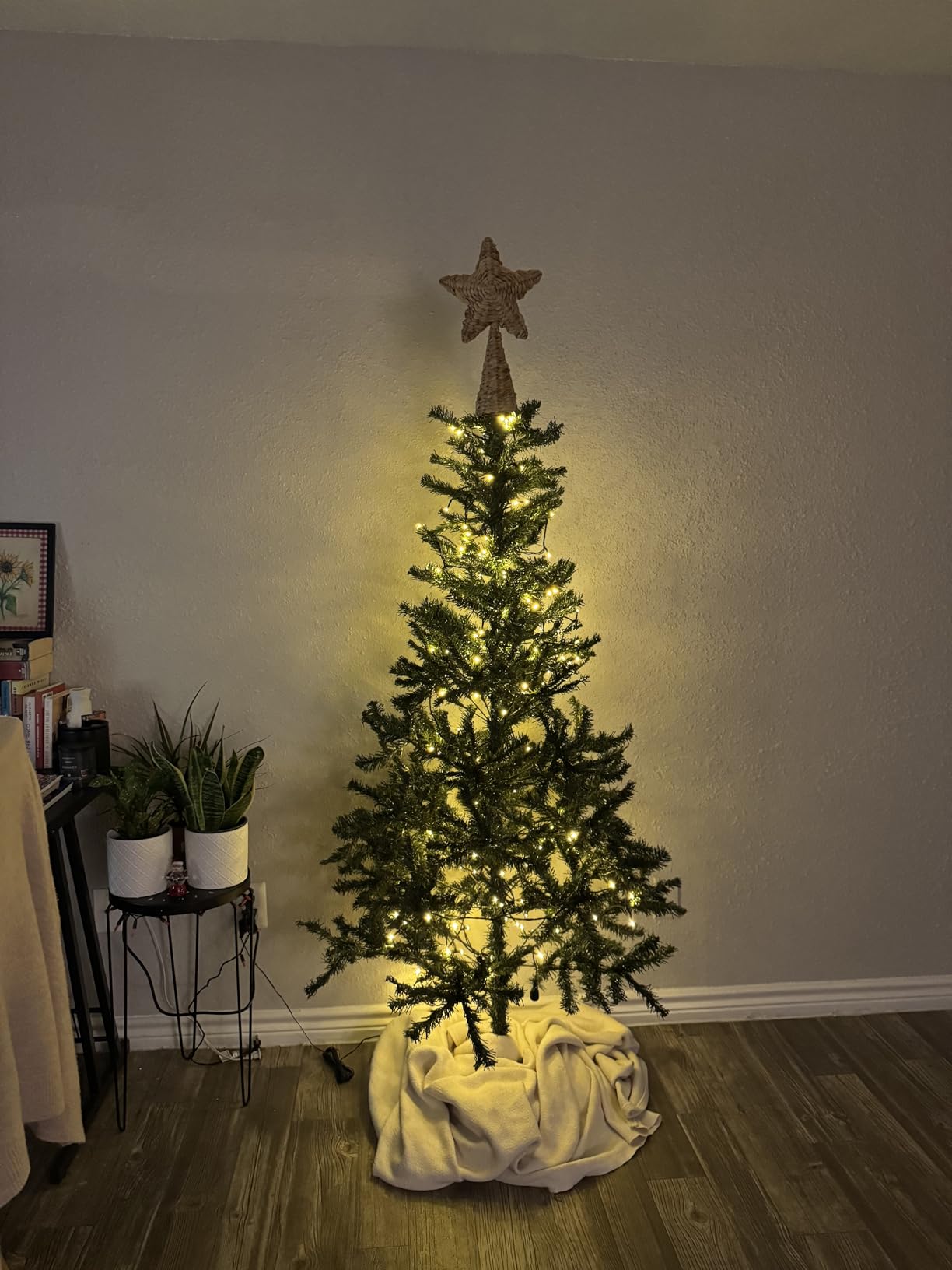Nisocy 100FT LED String Lights Outdoor Waterproof - Warm White Fairy Lights with Plug, Connectable Christmas Tree Lights for Patio, Garden, Bedroom, Wedding, Party, Decor customer photo 2