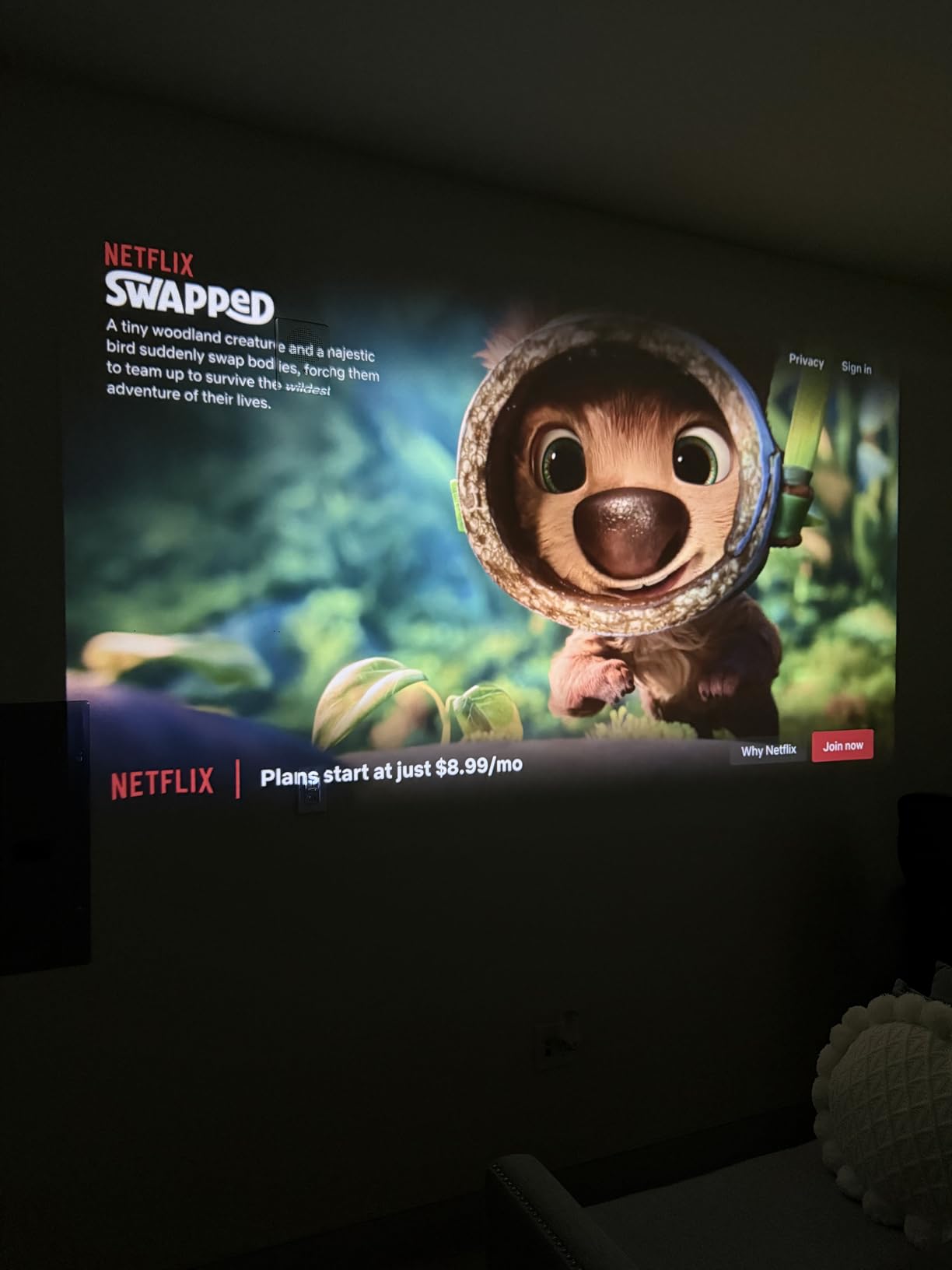 HAPPRUN 1500 ANSI 4K Decoding Outdoor Projector with Built-in Streaming App customer photo 1