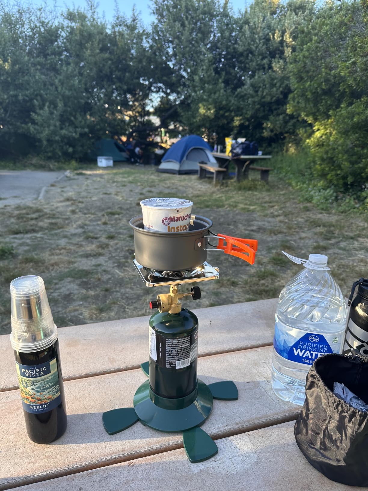 Portable Camping Stove, 2 Burner Foldable Camping Stove with Griddle and Carrying Bag & Hose, 8600BTU Portable Propane Camp Stove with Ignition & 2 Adjustable Burners, for Camping Tailgating BBQ Grill customer photo 2