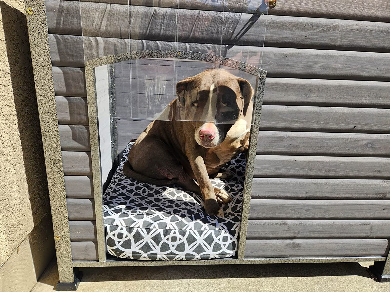 Extra Large Heated Dog House Outdoor for Large Breed Dogs, Insulated Dog Kennel Outside, Metal Frame,Weatherproof Dog Shelter with Porch and Elevated Floor, for XL Big Dog (Heating Pad) (Brown) customer photo 1