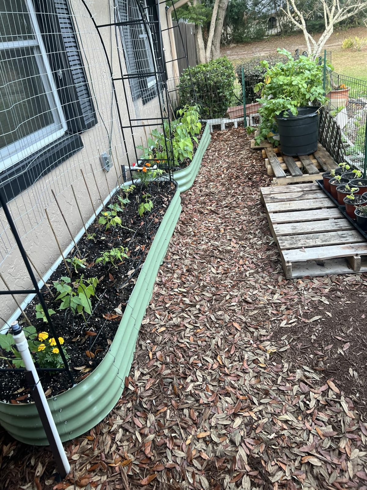 Winpull 8x2x1.5 ft Galvanized Steel Raised Garden Bed, Raised Garden Bed Kit, Galvanized Planter Box Outdoor, 18