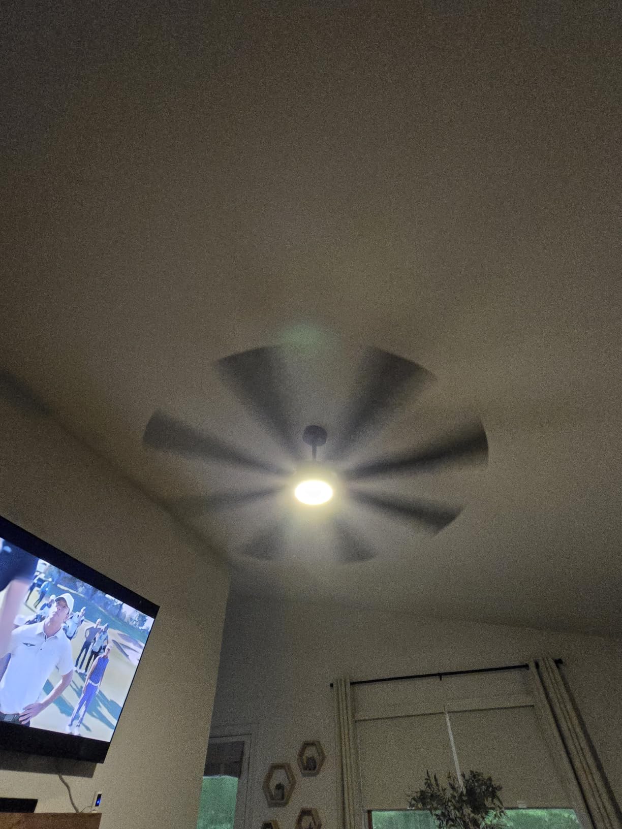 Fanbulous 72 Inch Ceiling Fans with Lights DC Motor, Remote & APP Control | Damp Rated, Dimmable, 3CCT, Memory Function, Dual-Sided Reversible Blades, Flat/Sloped Ceiling, Living Room, Covered Patio customer photo 1