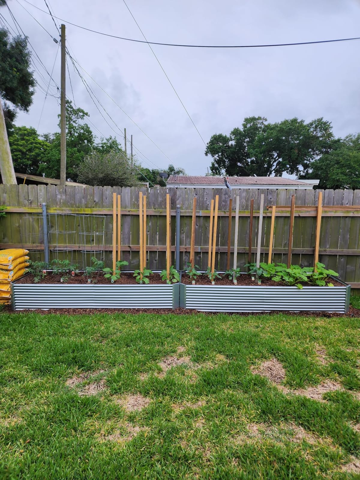 2 Pack Tall 8FT Raised Beds for Gardening, Corrugated Galvanized Steel Raised Garden Bed, Outdoor Metal Above Ground Garden Bed for Vegetables and Flowers(Rectangular)-8x3FT customer photo 2