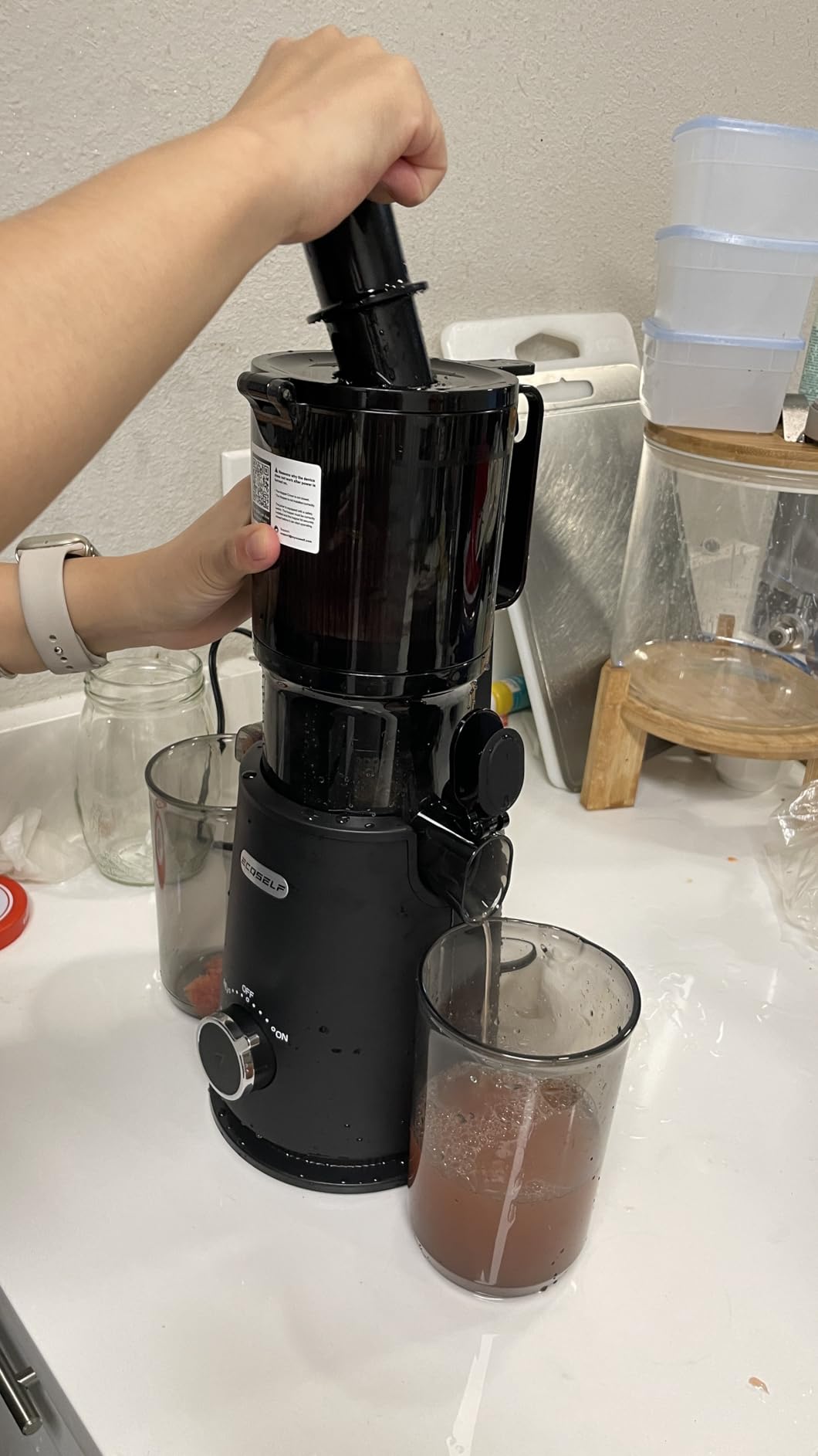 ECOSELF Cold Press Juicer - Wide Mouth Feed Chute For Fruits & Vegetables & Leafy Greens - Juice Extractor Machine With Self Feeding & Hands-Free Design - Juicer Machines Easy to Clean customer photo 1