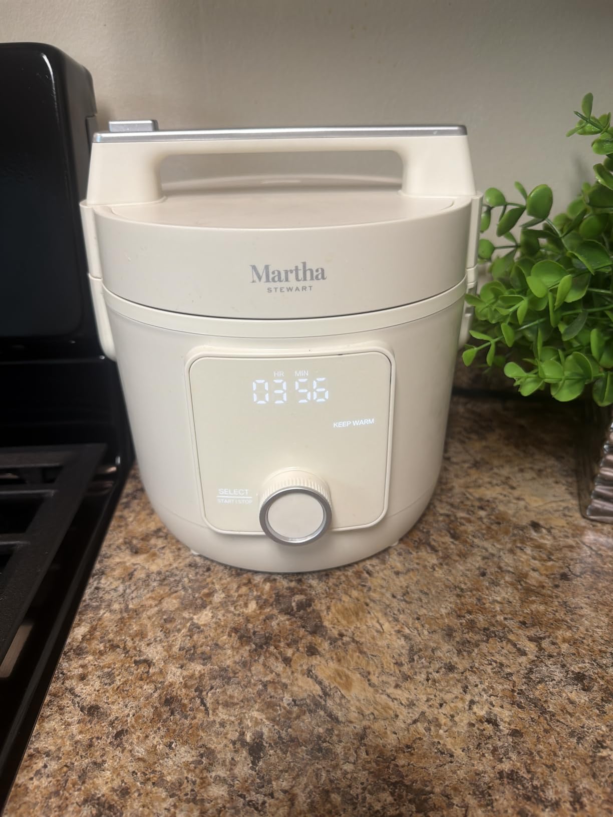 Martha Stewart 8 Cup Cooked (4 Cup Uncooked) Rice Cooker & Steamer, Sage | PFAS-Free Ceramic Nonstick Removable Pot, 9 Modes, Keep Warm, Steamer, White & Brown Rice, Quinoa, Grains, Oats, Easy Clean customer photo 1