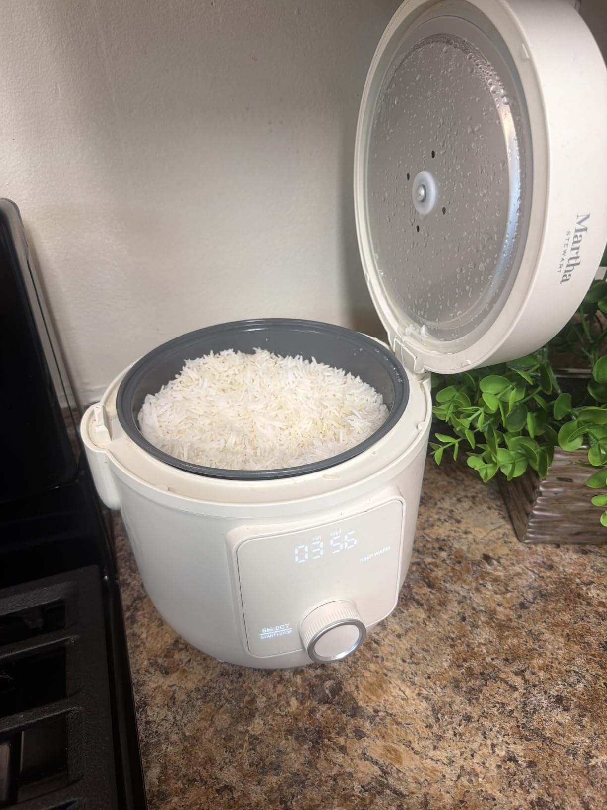 Martha Stewart 8 Cup Cooked (4 Cup Uncooked) Rice Cooker & Steamer, Sage | PFAS-Free Ceramic Nonstick Removable Pot, 9 Modes, Keep Warm, Steamer, White & Brown Rice, Quinoa, Grains, Oats, Easy Clean customer photo 2