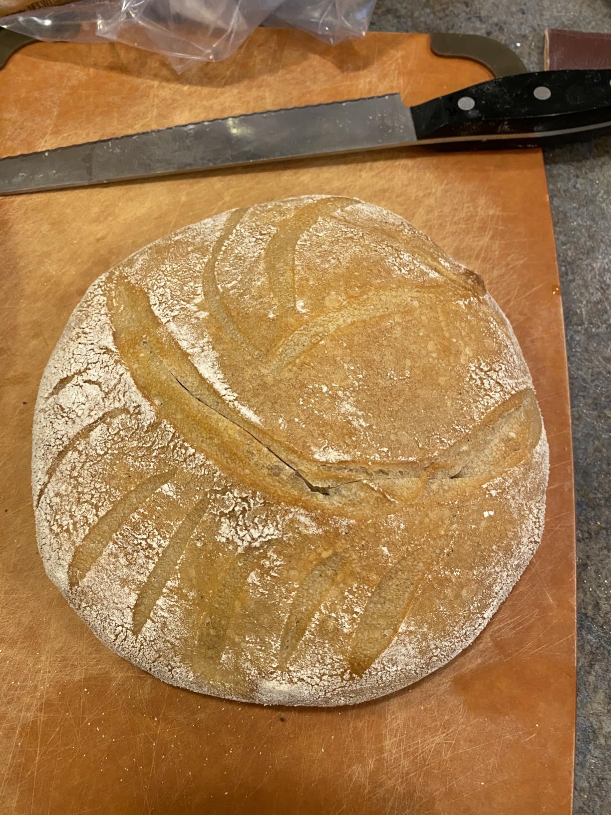 Le Creuset Enameled Cast Iron Signature Oval Bread Oven, 11.5 inch, Sea Salt customer photo 1