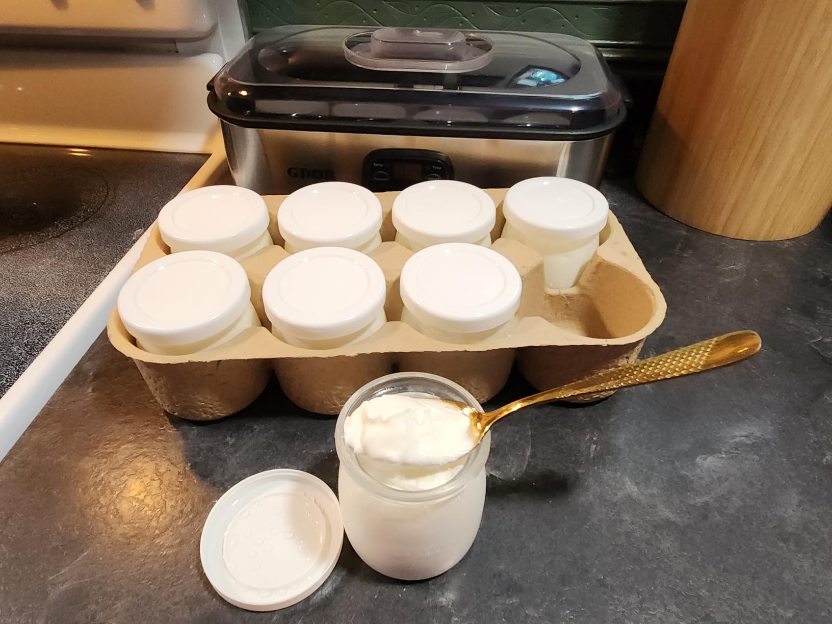 GDOR Yogurt Maker Machine with Adjustable Temp & Time, 48H Timer Digital, 8x6oz BPA-Free Glass Jars for Homemade Probiotic Yogurt, Auto Shut-Off customer photo 1