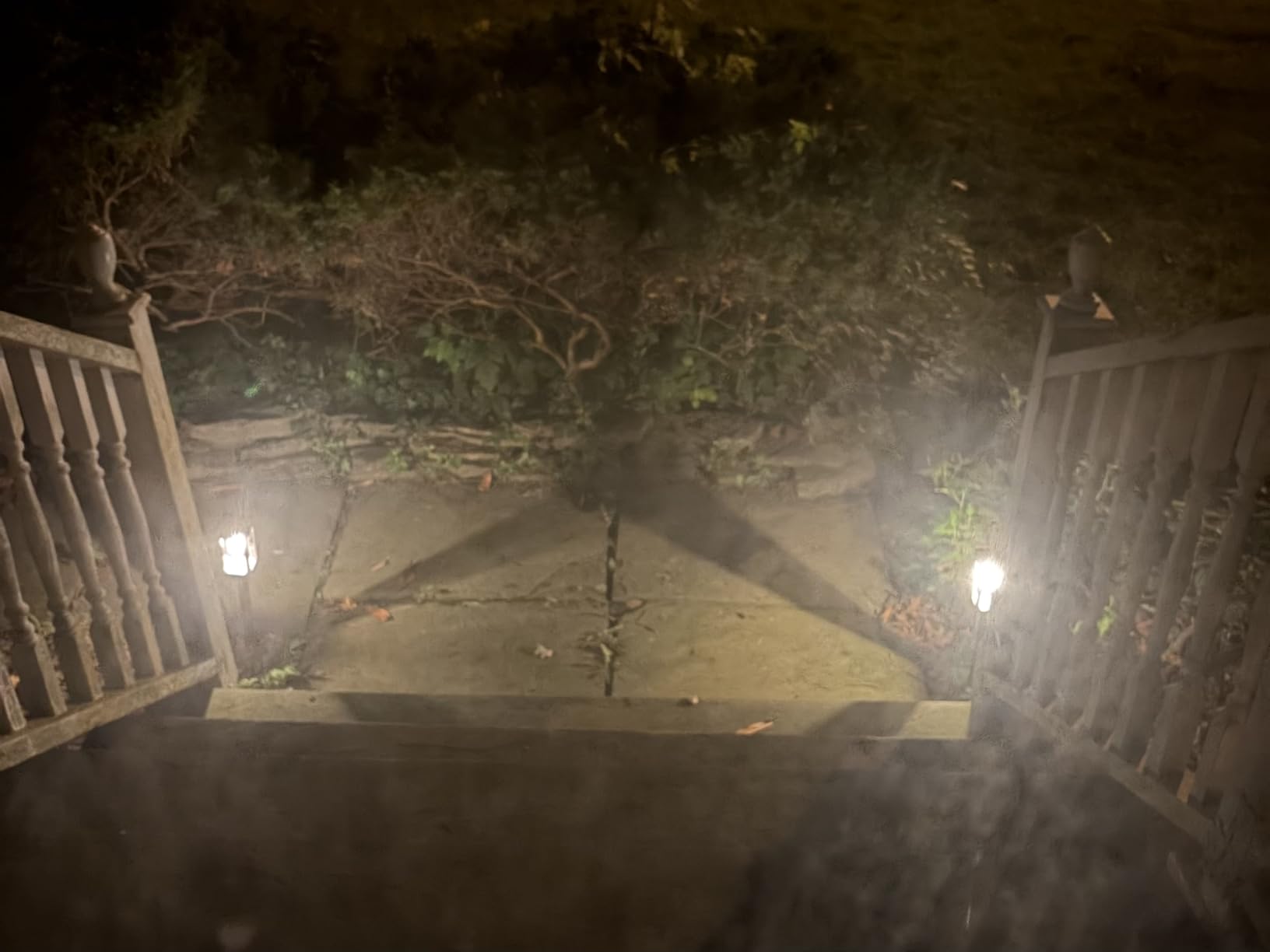 Tenmiro Solar Pathway Lights Outdoor 8 Pack, Bright Solar Garden Lights | IP65 Waterproof Shatterproof, Auto On/Off Landscape Lighting for Yard Lawn Patio Walkway Driveway Decor 3000K customer photo 1