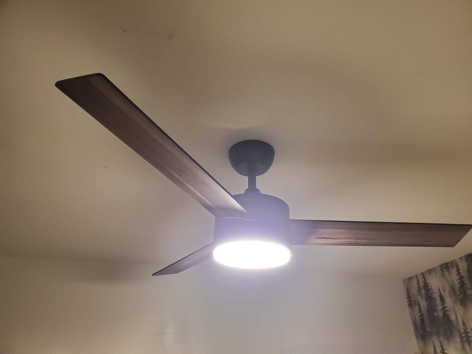 PHILIPS Indoor Ceiling Fan with Bright LED Light, 1-Pack, Dark | Bright Selectable White LED Light, 2650 Lumens, Dimmable, 5400 CFM, 6 Speeds, 2 Airflow Modes, 5 Reversible Blades customer photo 1