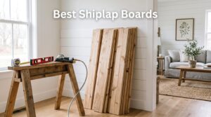 Best Shiplap Boards
