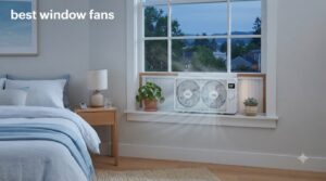 best window fans