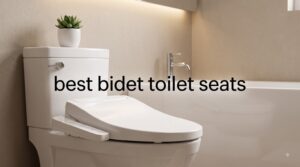best bidet toilet seats