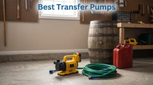 Best Transfer Pumps