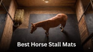 Best Horse Stall Mats