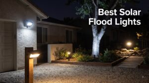 Best Solar Flood Lights