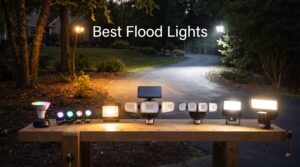 Best Flood Lights