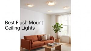 Best Flush Mount Ceiling Lights
