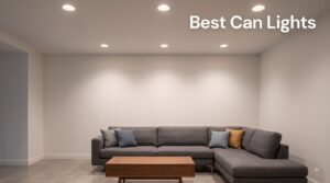 Best Can Lights